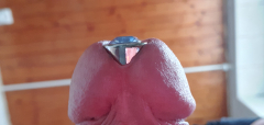 CockJewel