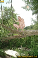 Pissing from a big fallen tree