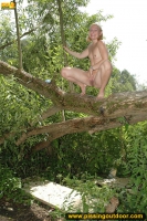 Pissing from a big fallen tree