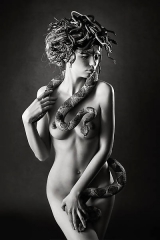 Was there Medusa Gorgone a Beauty ?