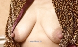 Very big nipples and areolas (without faces) 3