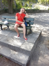 Laeufige Huendin auf Parkbank