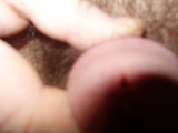 my cock