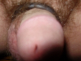 my cock