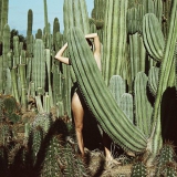 sweet gals 1a850=1a950