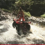 sweet gals 1a850=1a950