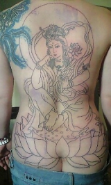 My collection fuma-446