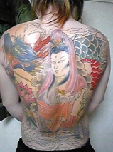 My collection fuma-446