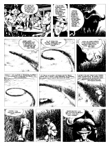 COMICS - SUPERHEROINES