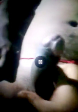 My desi indian wife sex messege big cock 3