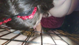 Daddy's pet slave
