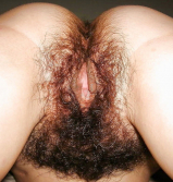 How do such amazing hairy pusses excite...