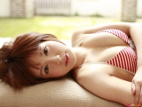 Spring Dream 2