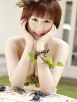 Spring Dream 1