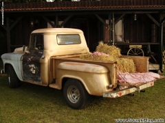 Lone Star Savanah Gold - N