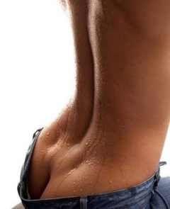 Sexy ASSSSSes - N