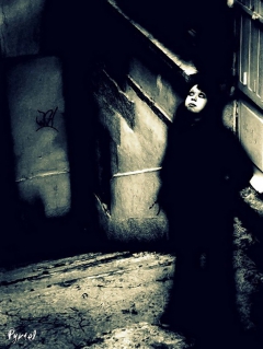 Gothic beauties 06 - N