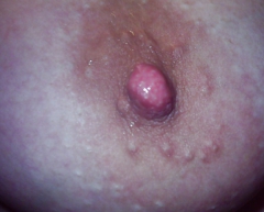 Bulgarian Teen 56 - N