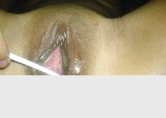 Black Bitties 3 - N