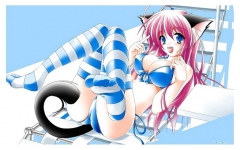 Catgirls! - N