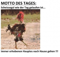 Funny 27 - N