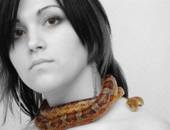 Snakey Girls - N