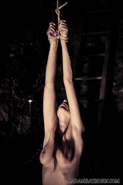 Nude teen in medieval torture - N