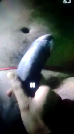 My desi indian wife sex messege big cock 2 - N