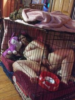 Daddy's pet slave - N