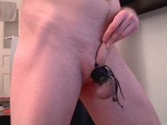 homework for my tiny cock and balls - N