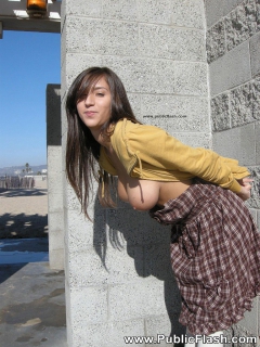 Flashing Tits - N