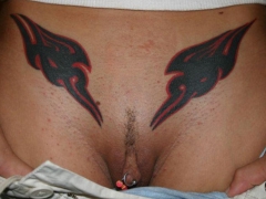 Pussy Decoration - N