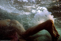 Underwater Nimph II - N