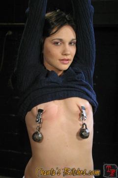 Titties Alert - N