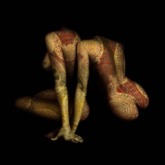 Body To Paint 5 - N