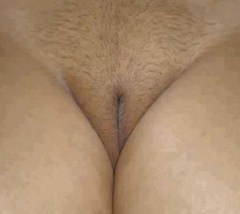 sexy arab woman - N