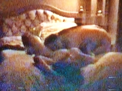 ZORRA 69 - N