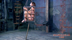 Rud's Caged Goddess 2 - N