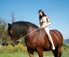 Hors Lovers 2 - N