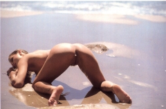 Beachy Model 03 - N