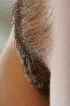 Close Up Collection 16 - N