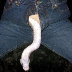 Randaconda69`s avatar