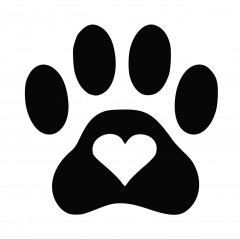 Alina_likes`s avatar