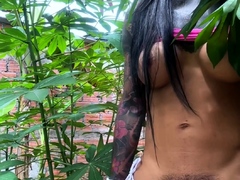 Shemale tranny enjoying solo masturbation