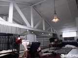 Femdom fetish bdsm mistress hoes