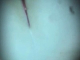 Good Fucking Doggystyle