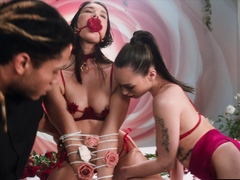 VIXENPLUS Gorgeous BFF s share Stiff Cock